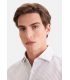 Chemise ml fant seidensticker 24beige