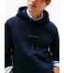 Sweat capuche tommy menswear dw5desertsky