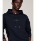 Sweat capuche tommy menswear dw5desertsky
