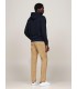 Sweat capuche tommy menswear dw5desertsky