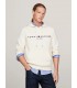 Sweat capuche tommy menswear aefcalico