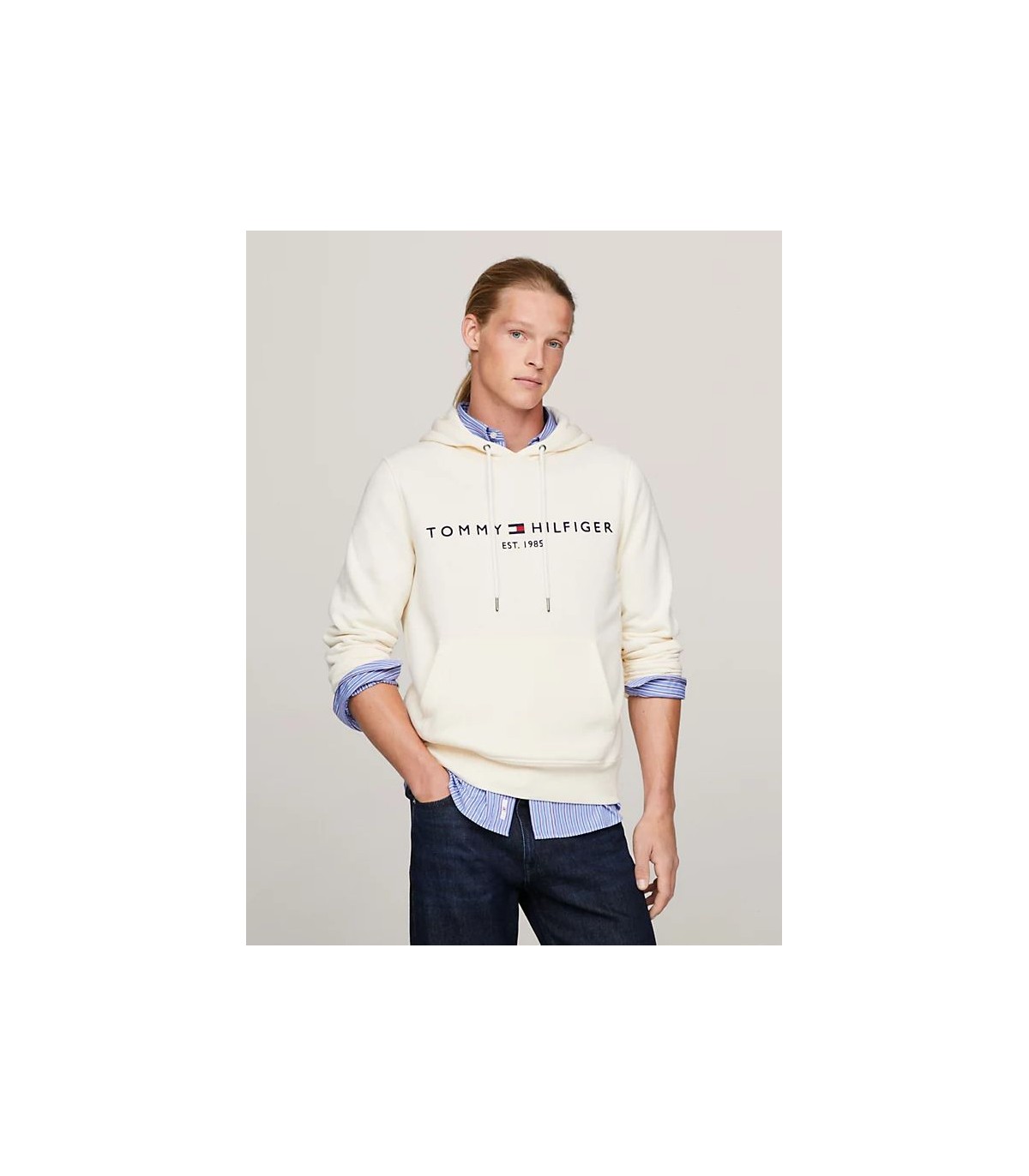 Sweat capuche tommy menswear aefcalico