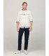 Sweat capuche tommy menswear aefcalico