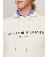 Sweat capuche tommy menswear aefcalico