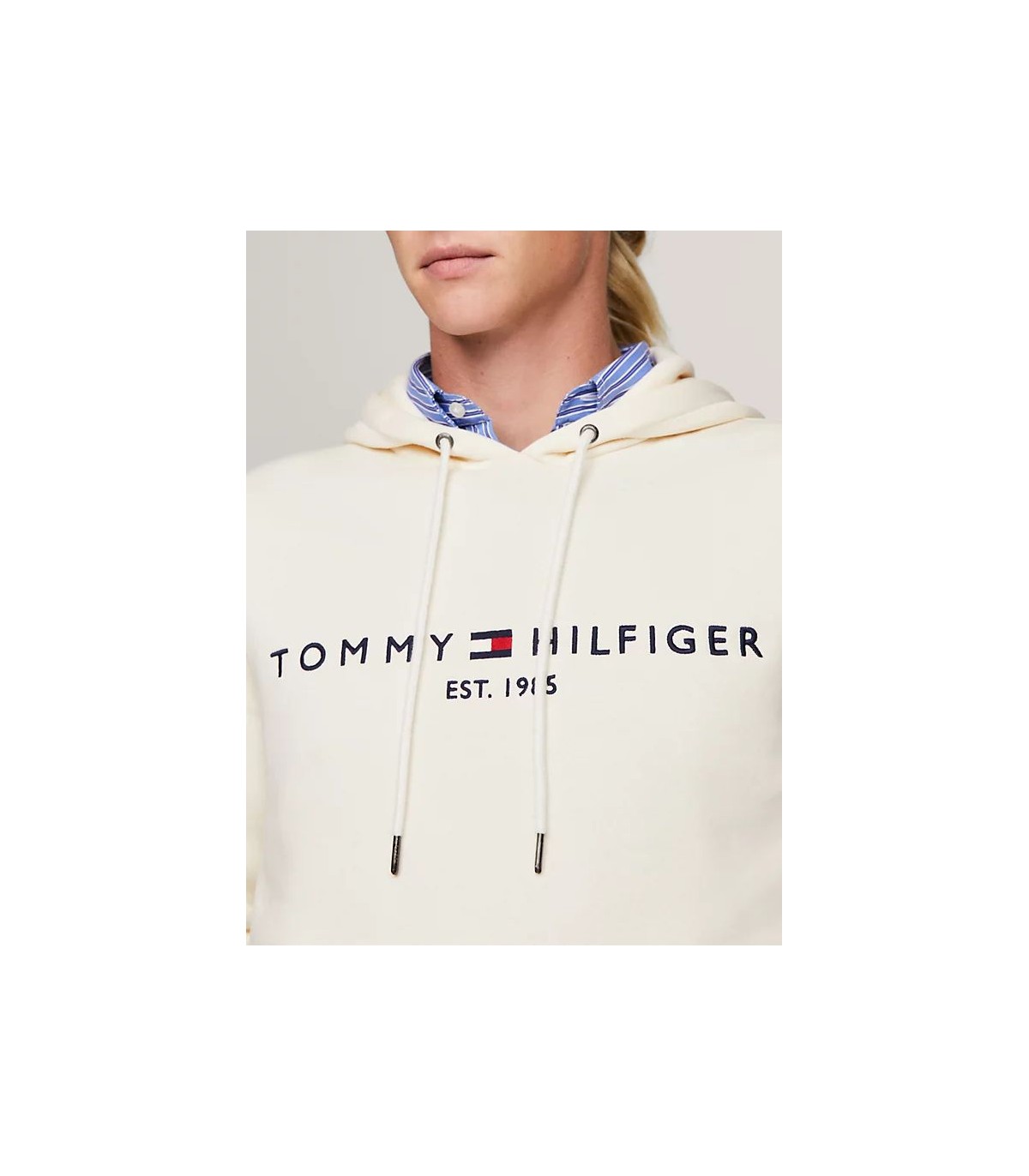 Sweat capuche tommy menswear aefcalico