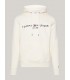 Sweat capuche tommy menswear aefcalico
