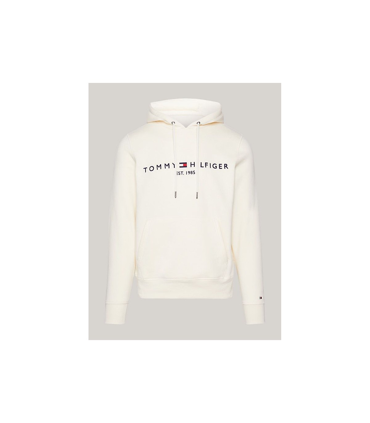 Sweat capuche tommy menswear aefcalico