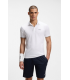 Polo mc boss green 100white