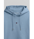 Sweat capuche teddy smith 304lmineral
