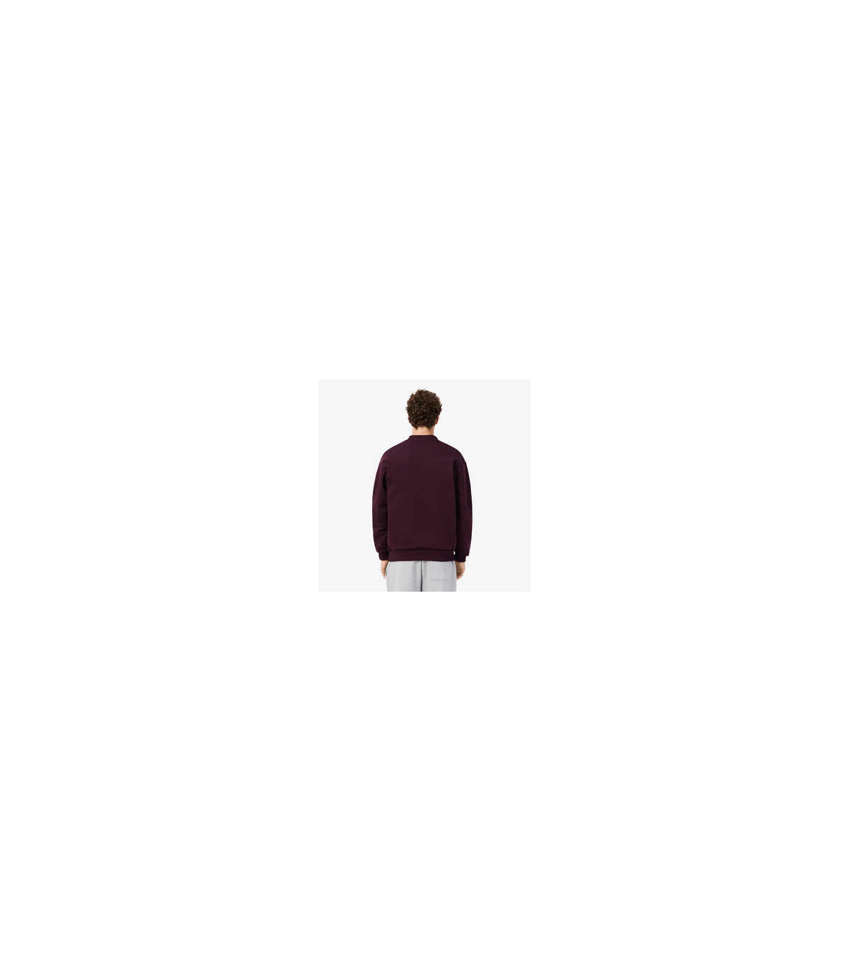 Sweat col rond lacoste 3ke-oxalis