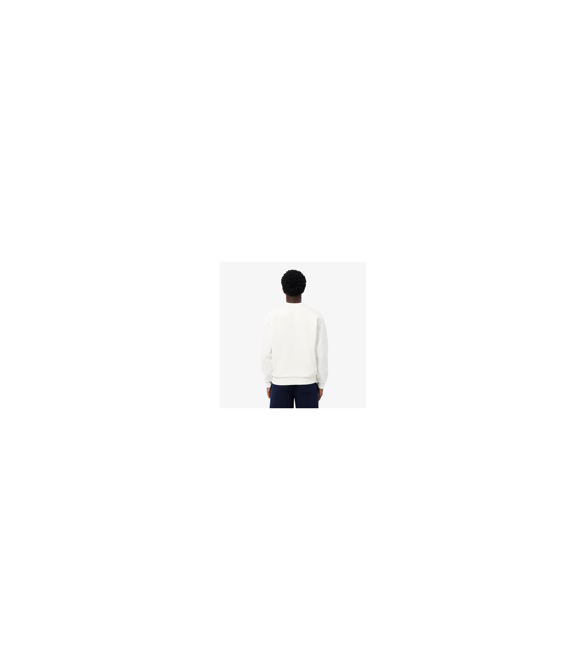 Sweat col rond lacoste 70v-farine