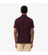 Polo mc lacoste 3ke-oxalis