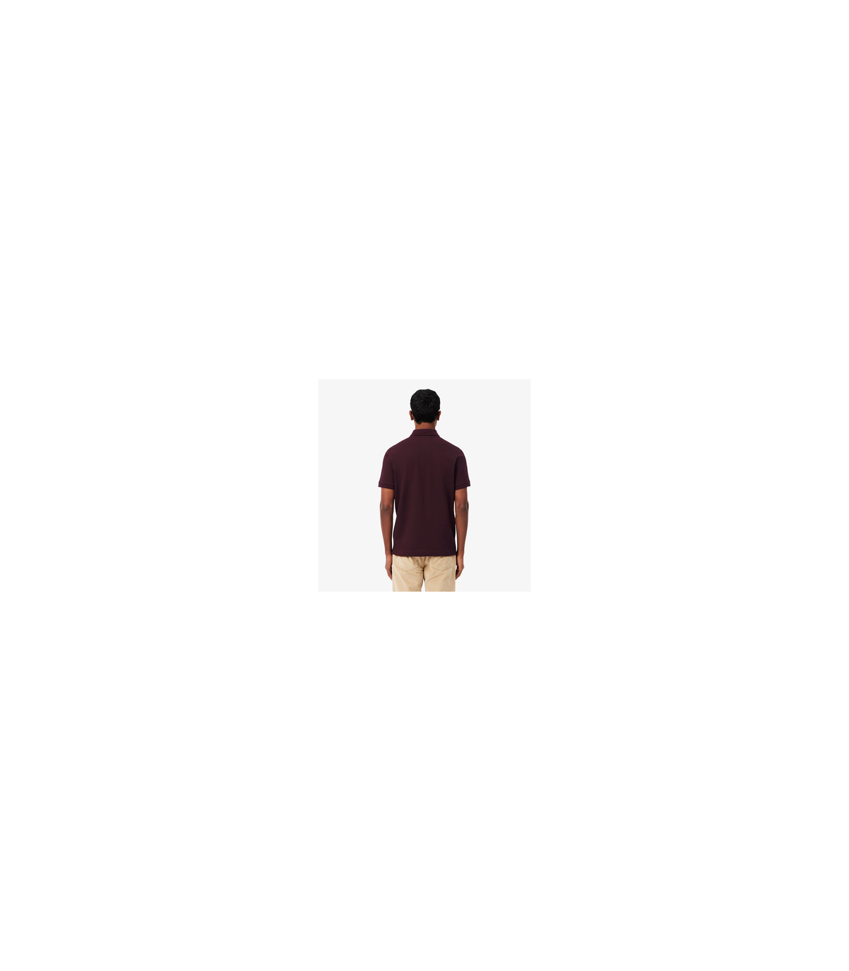 Polo mc lacoste 3ke-oxalis