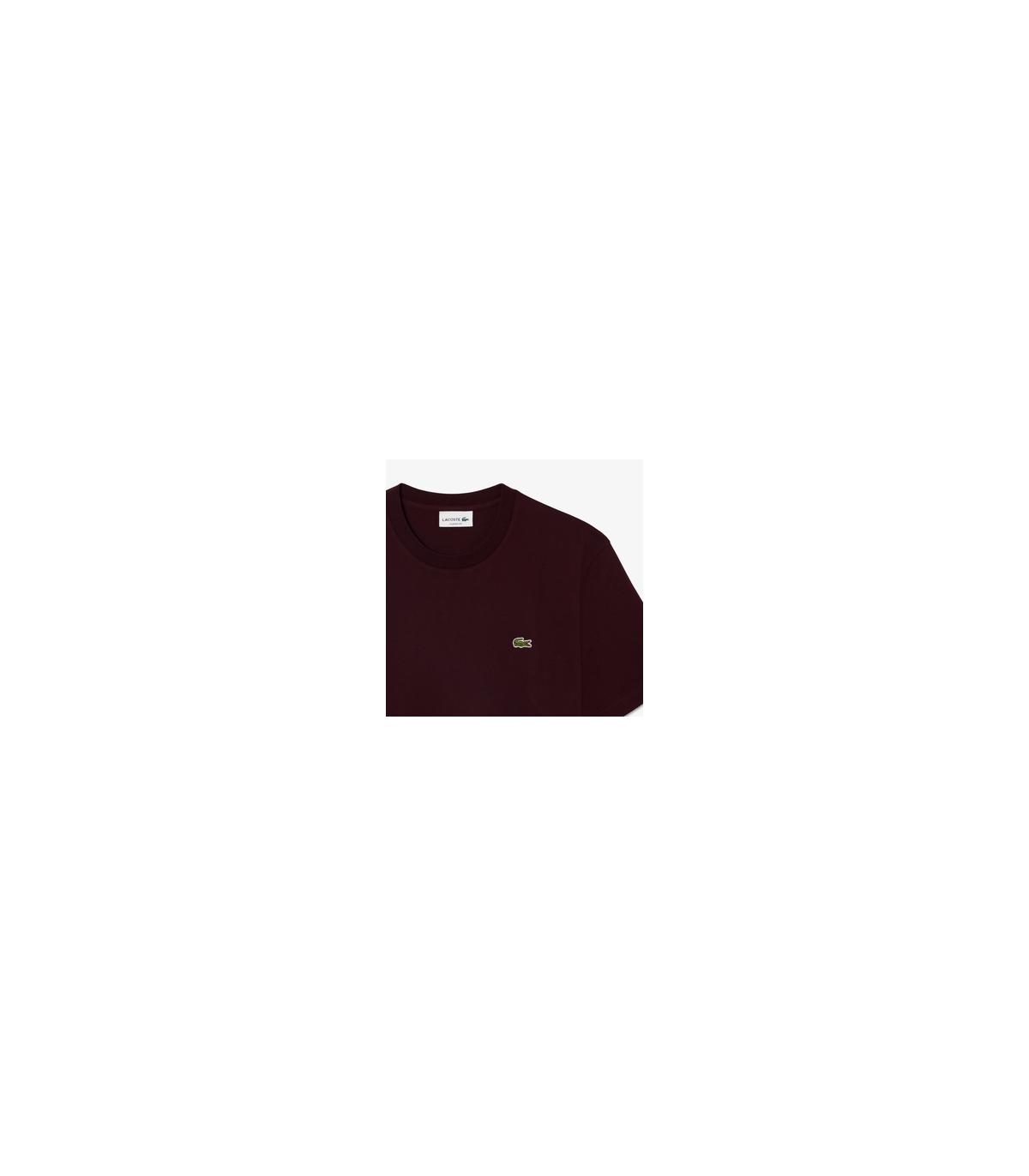 Tee shirt mc lacoste 3keoxalis