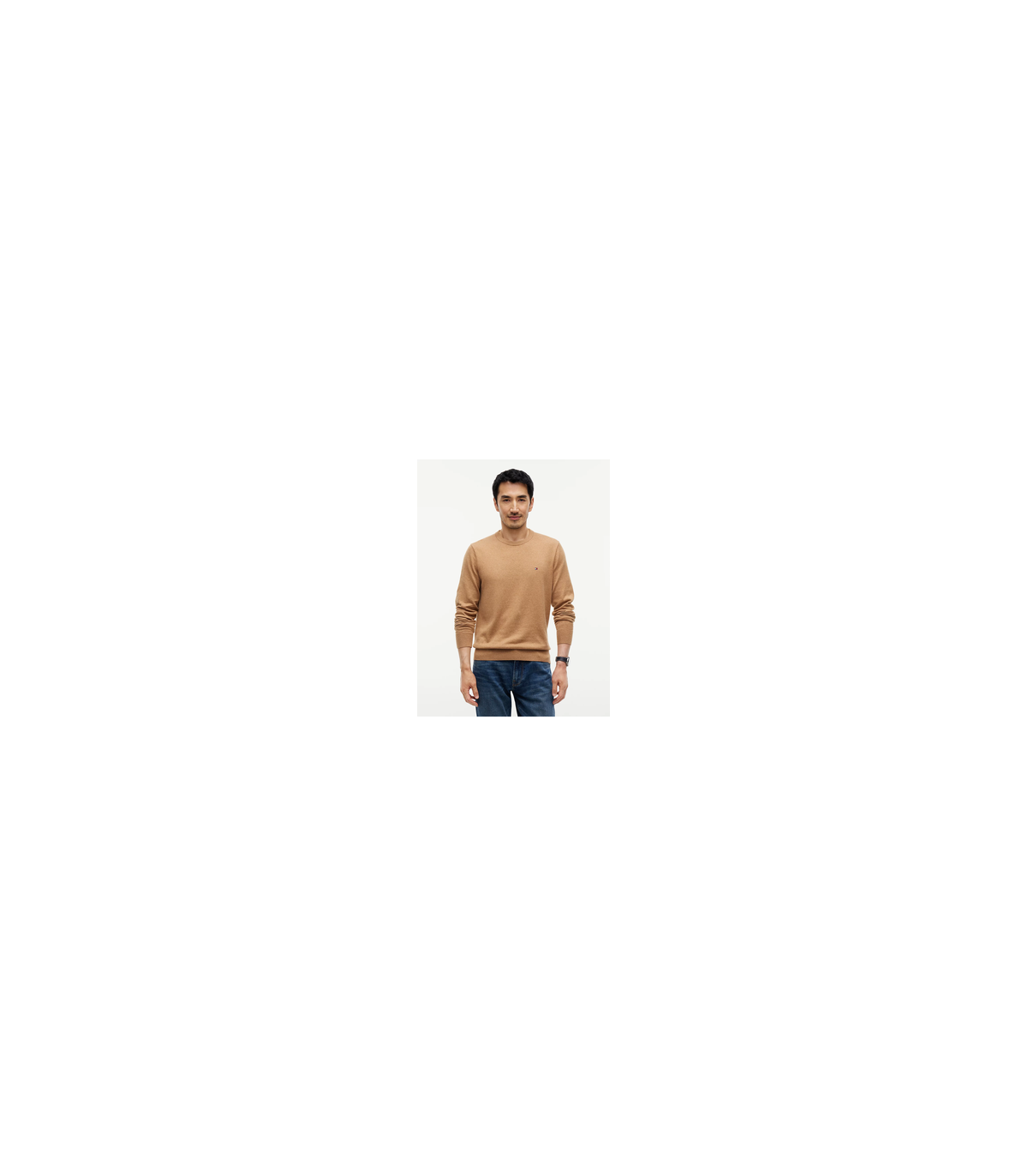Pull col rond tommy menswear a1lsafari