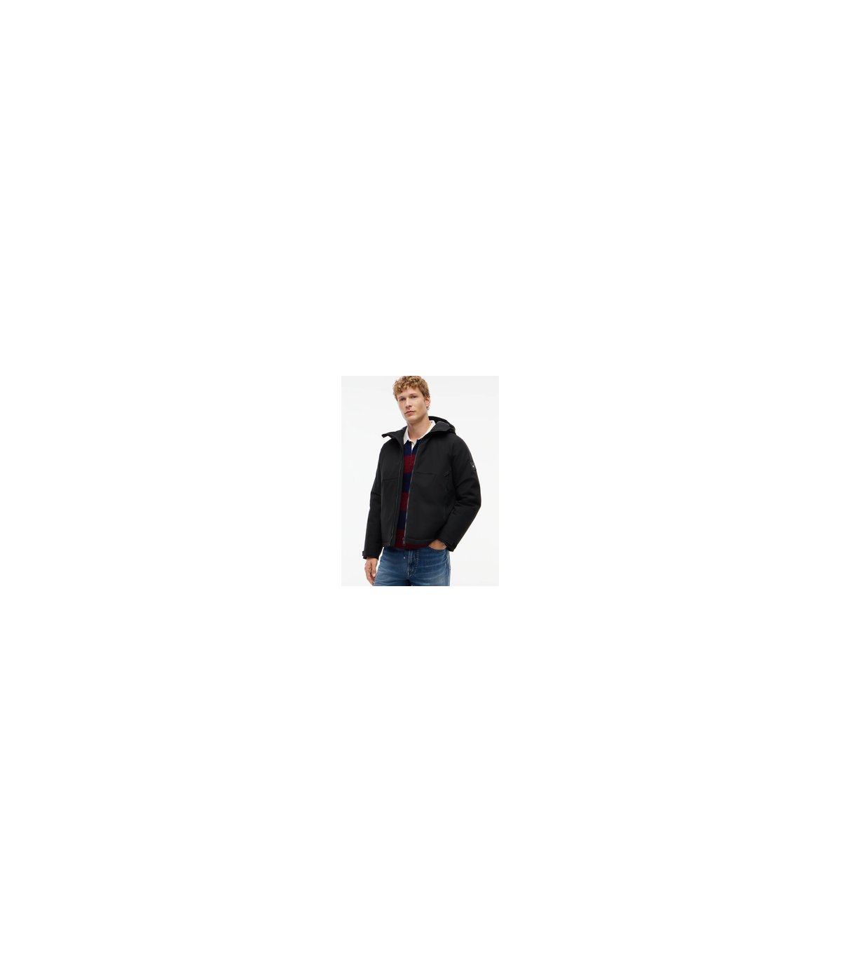 Blouson tommy menswear bdsblack