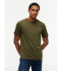 Tee shirt mc tommy menswear mt1green