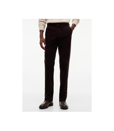 Pantalon chino tommy menswear dw5desertsky