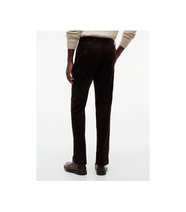 Pantalon chino tommy menswear dw5desertsky