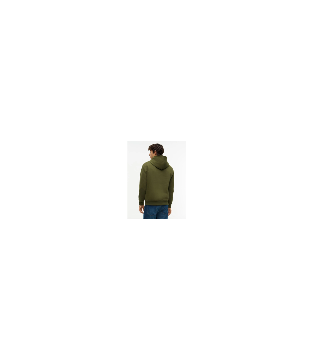 Sweat capuche tommy menswear mt1green