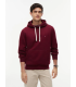 Sweat capuche tommy menswear vlpburgundy