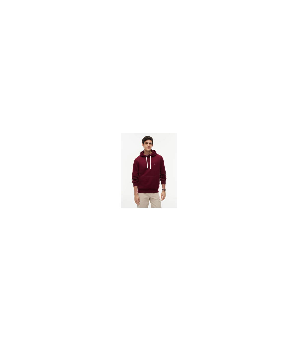 Sweat capuche tommy menswear vlpburgundy