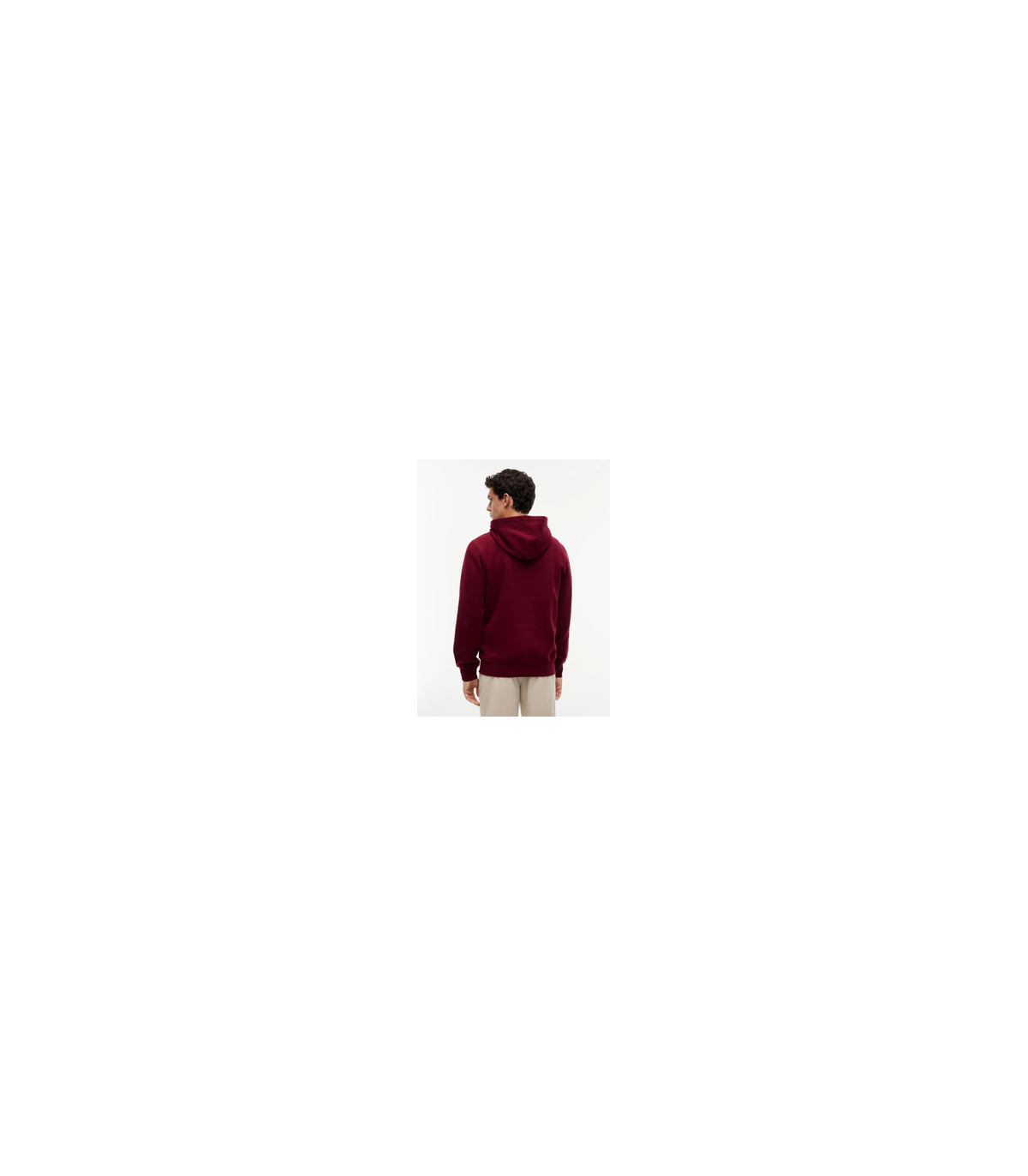 Sweat capuche tommy menswear vlpburgundy