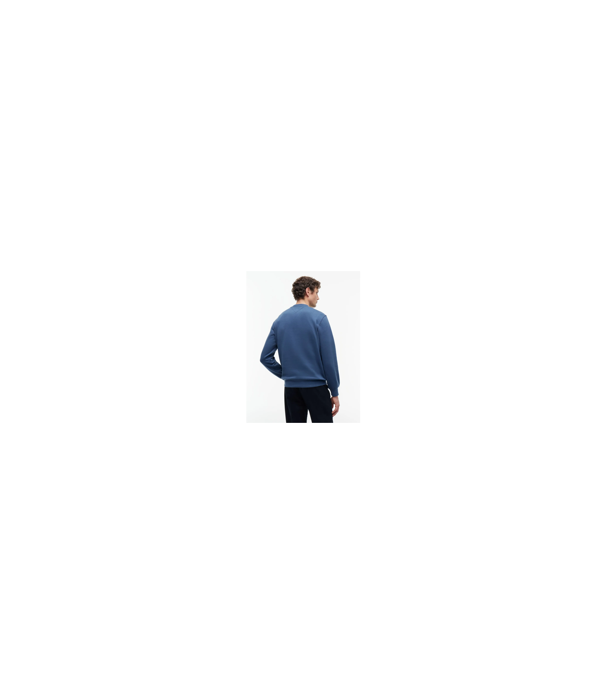 Sweat col rond tommy menswear dbzageansea