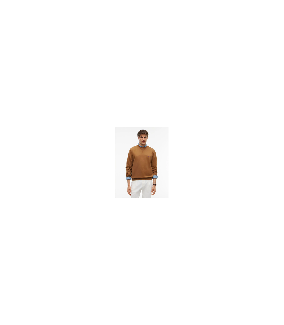 Sweat col rond tommy menswear gvhtawny