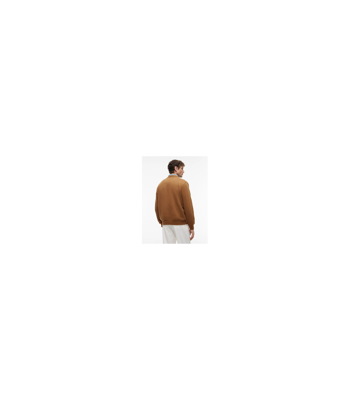 Sweat col rond tommy menswear gvhtawny