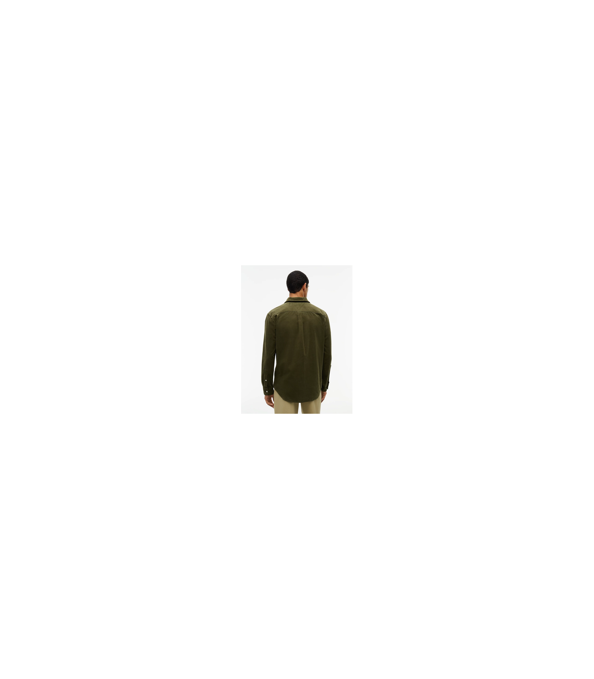 Chemise ml tommy menswear mt1green