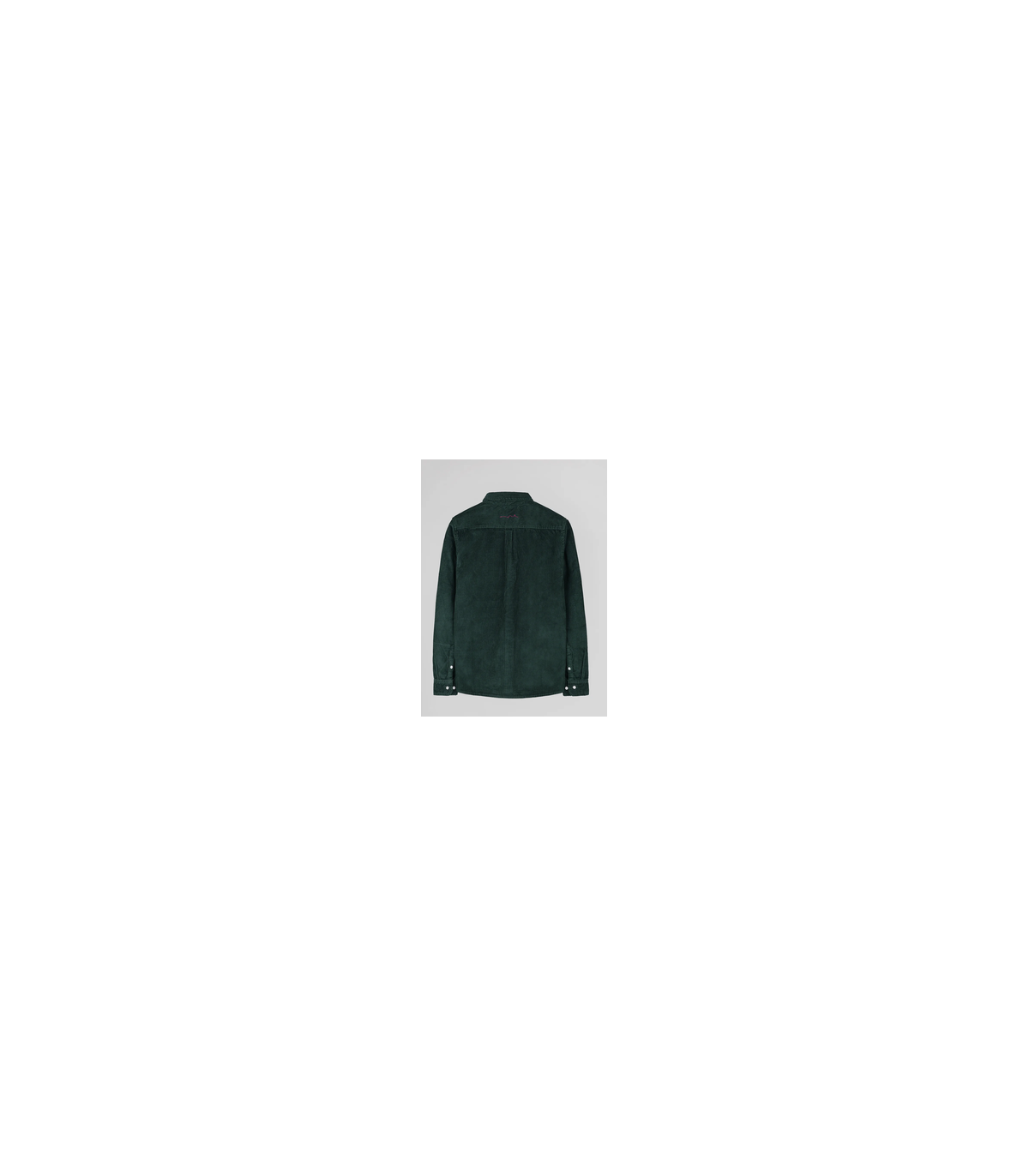 Chemise ml teddy smith 413cvert