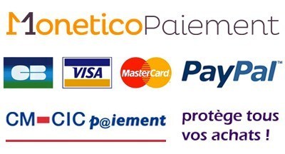 moyens de paiement et sécurisation